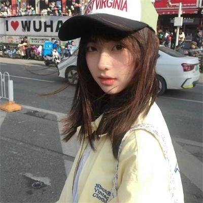 鲨与鲸