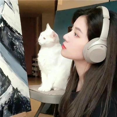 妙探